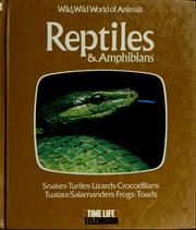 Cover of: Reptiles & amphibians by Richard Oulahan