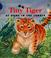 Cover of: Tiny tiger