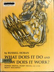 Cover of: What does it do and how does it work?: Power shovel, dump truck, and other heavy machines