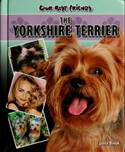 Cover of: The Yorkshire terrier | Janice Biniok