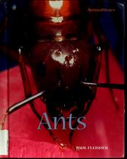 Cover of: Ants