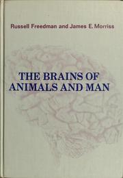 Cover of: The brains of animals and man