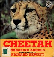 Cover of: Cheetah by Caroline Arnold