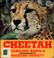 Cover of: Cheetah