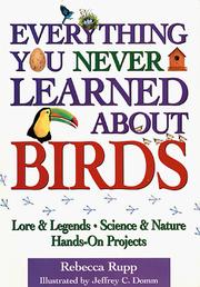 Cover of: Everything you never learned about birds