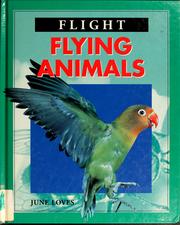 Cover of: Flying animals by June Loves