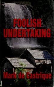 Cover of: Foolish undertaking