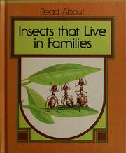 Cover of: Insects that live in families by Dean Morris