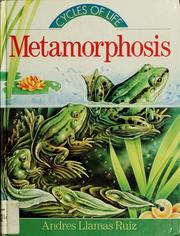 Cover of: Metamorphosis by Andrés Llamas Ruiz