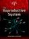 Cover of: The reproductive system