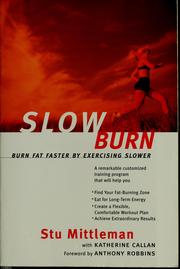 Cover of: Slow burn by Stu Mittleman