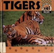 Cover of: Tigers by Anne Welsbacher, Anne Welsbacher