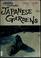 Cover of: Typical Japanese gardens