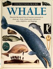 Whale by Vassili Papastavrou