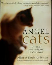 Cover of: Angel cats: divine messengers of comfort