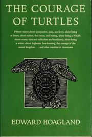 The courage of turtles cover