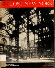 Cover of: Lost New York