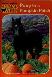 Cover of: Pony in a pumpkin patch