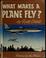 Cover of: What makes a plane fly?