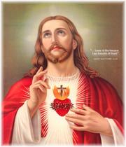 Cover of: The devotion to the Heart of Jesus