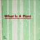 Cover of: What is a plant