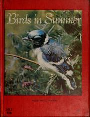 Birds in summer by Austin Loomer Rand