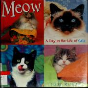 Cover of: Meow: a day in the life of cats