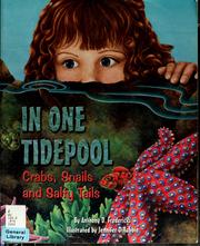 Cover of: In one tidepool by Anthony D. Fredericks