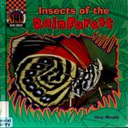 Cover of: Insects of the rain forest
