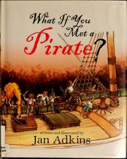 Cover of: What if you met a pirate?