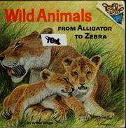 Cover of: Wild animals: from alligator to zebra