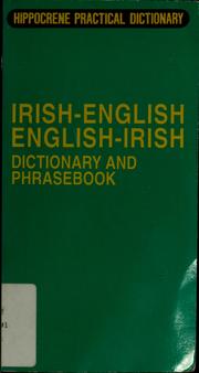 Irish/English English/Irish dictionary and phrasebook by Davidovic Mladen