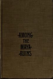 Cover of: Among the Maya ruins: the adventures of John Lloyd Stephens and Frederick Catherwood