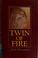 Cover of: Twin of fire