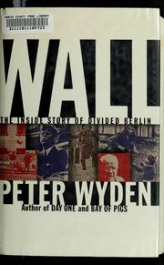 Wall by Peter Wyden