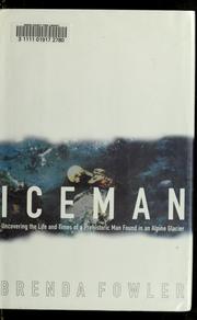 Iceman by Brenda Fowler