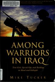 Cover of: Among warriors in Iraq: true grit, special ops, and raiding in Mosul and Fallujah