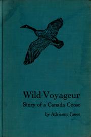 Cover of: Wild voyageur: story of a Canada goose