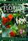 Cover of: Native Florida plants