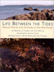 Cover of: Life Between the Tides: Marine Plants and Animals of the Northeast
