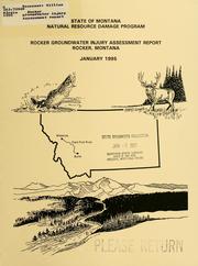 Cover of: Rocker groundwater injury assessment report