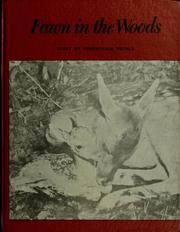 Cover of: Fawn in the woods