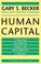 Cover of: Human Capital