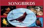 Cover of: Featherstrokes for shorebirds