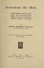 Cover of: Jerusalem the holy by Edwin Sherman Wallace