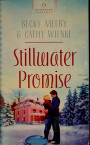 Cover of: Stillwater promise