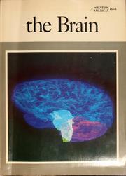 Cover of: The brain by 