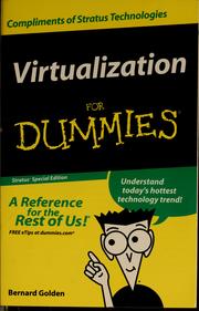 Virtualization for dummies by Bernard Golden