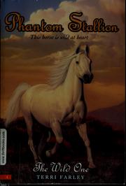 Phantom Stallion: The Wild One by Terri Farley