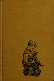 Cover of: Torris, the boy from Broad Valley by Berit Brænne